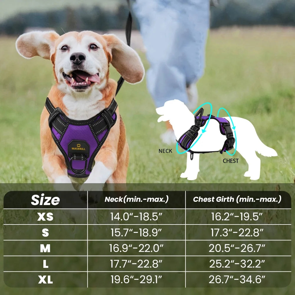 Reflective Dog Harness 