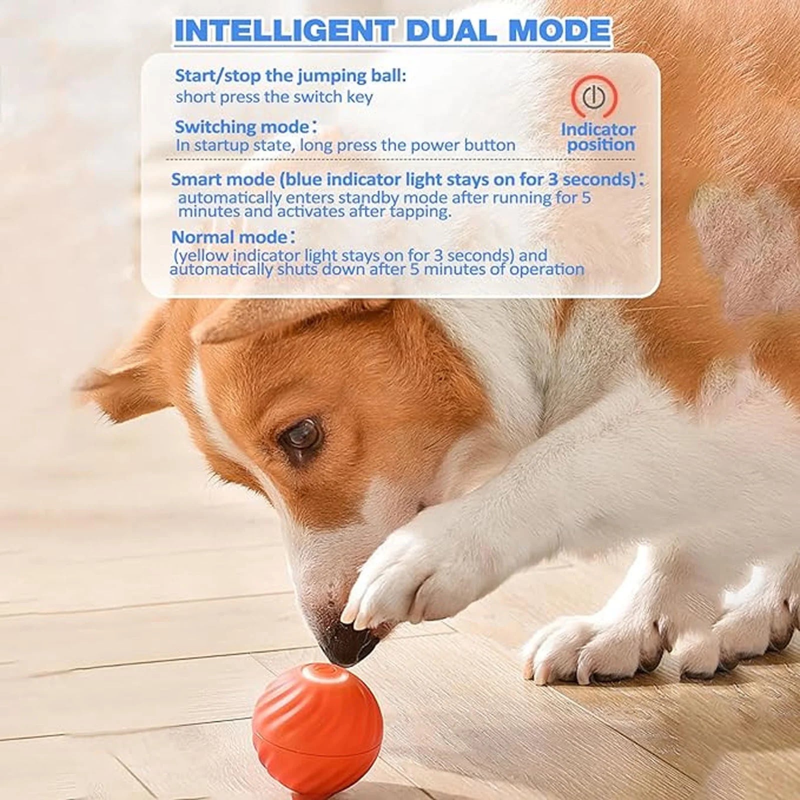 Interactive Electric Rubber Pet Ball