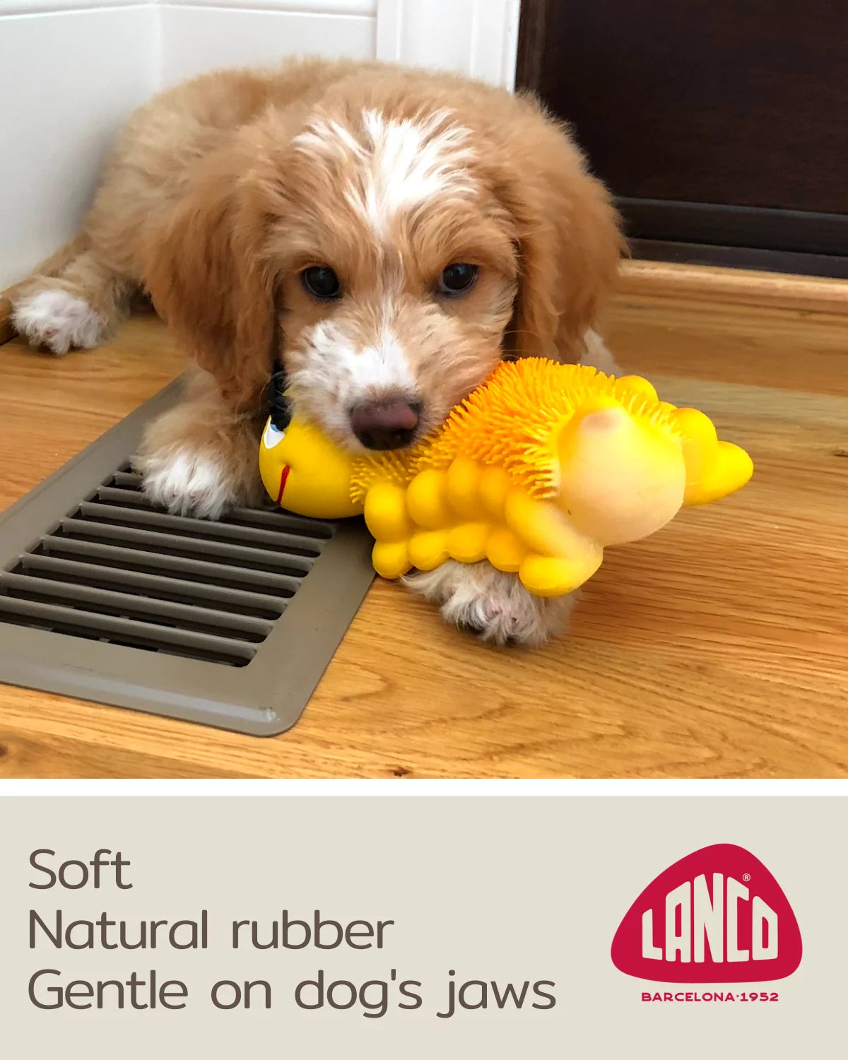 Caterpillar Squeaky Dog Toy