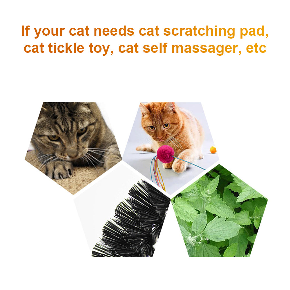 Cat Arch Massage Brush