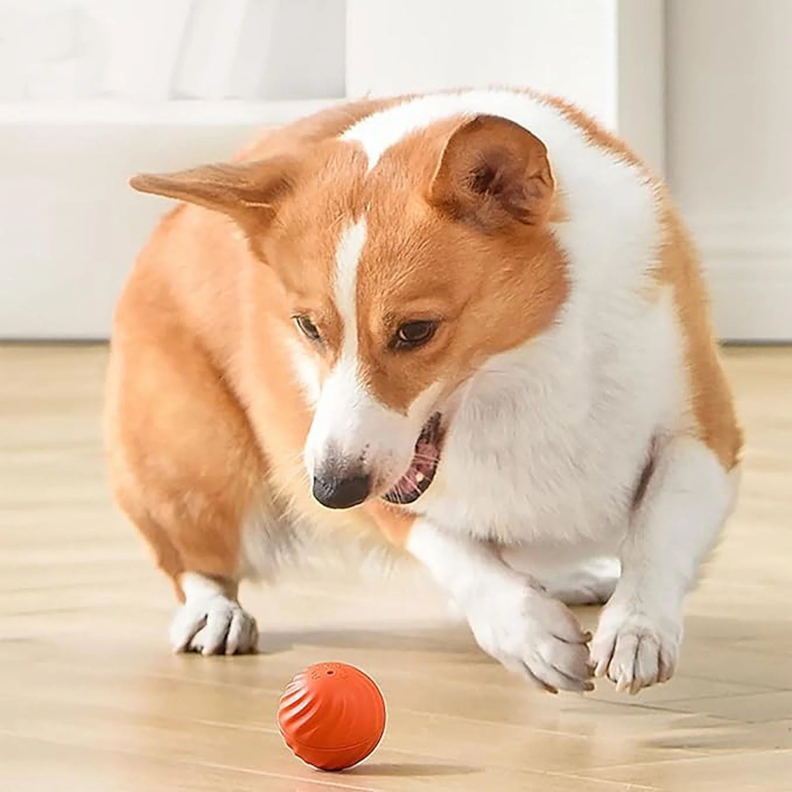 Interactive Electric Rubber Pet Ball