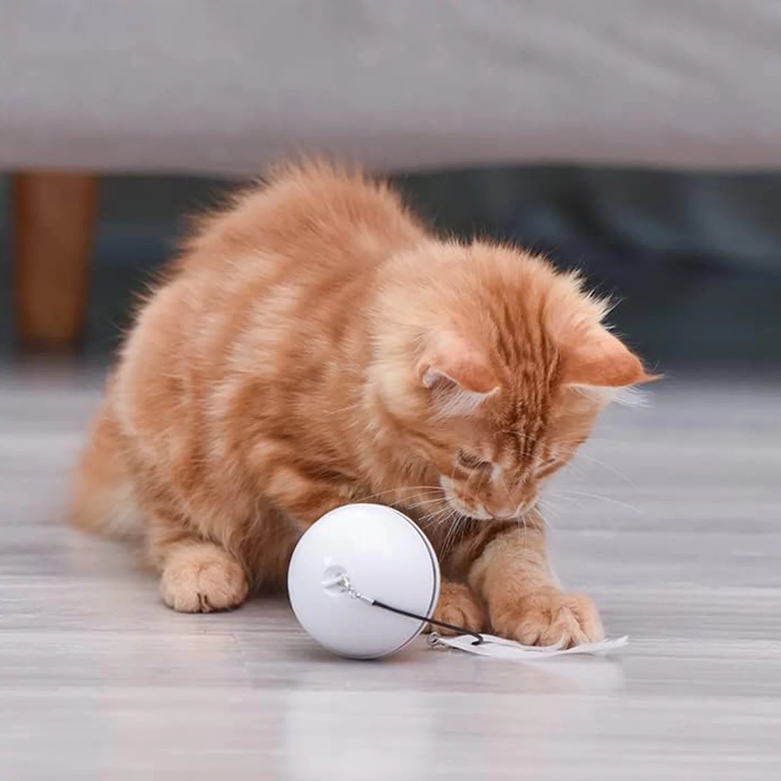 Interactive Electric Cat and Dog Ball 