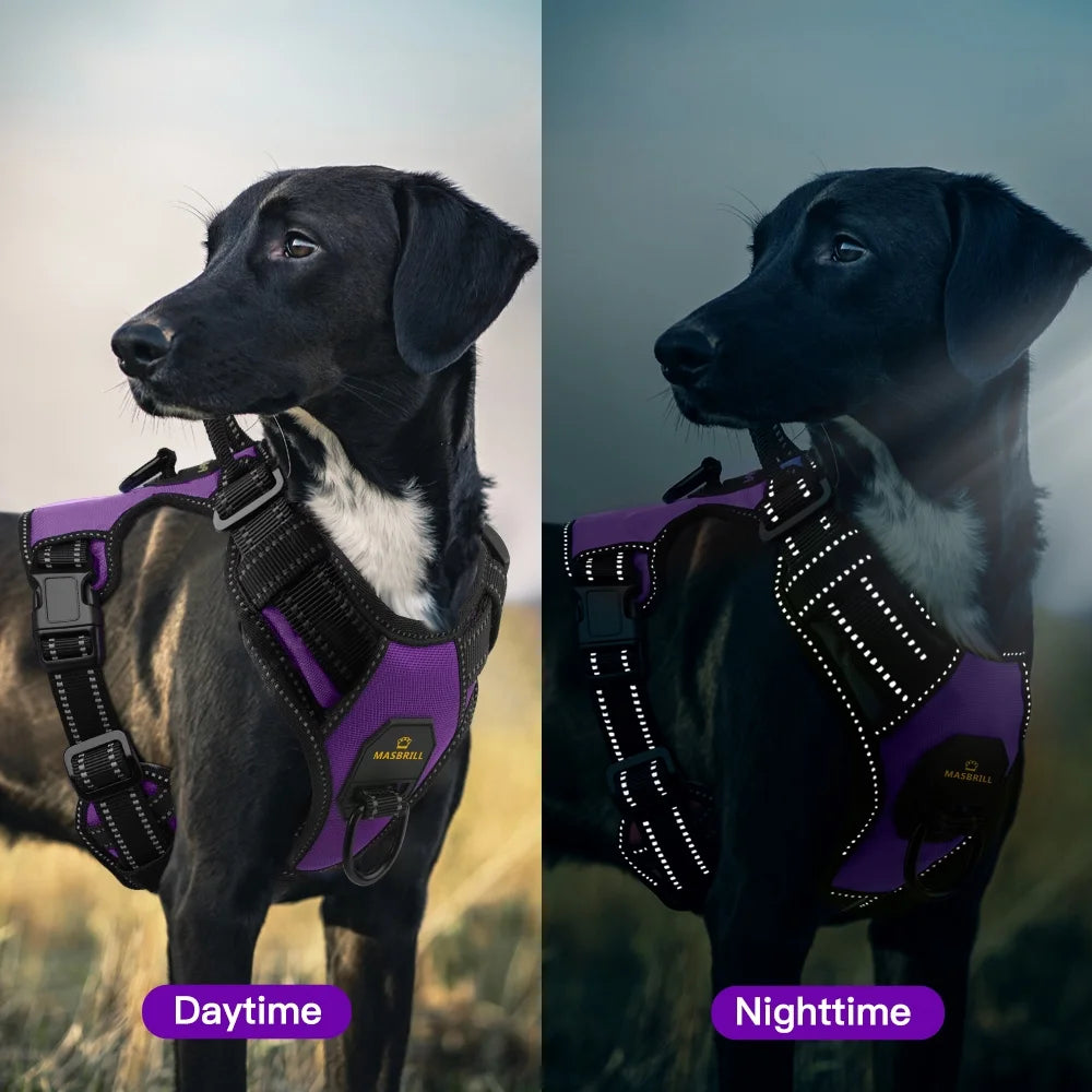 Reflective Dog Harness 